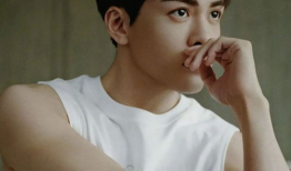 吃瓜娱乐圈田嘉瑞,娱乐圈吃瓜达人，揭秘明星幕后故事